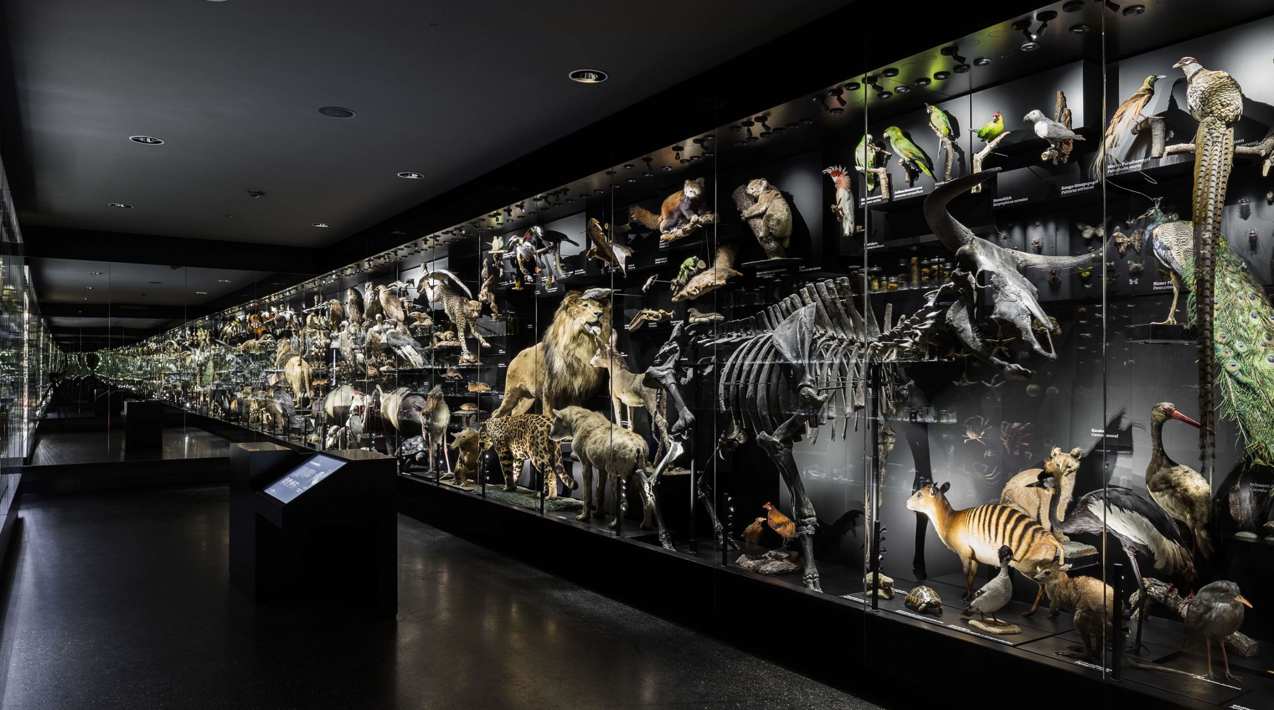 Museum