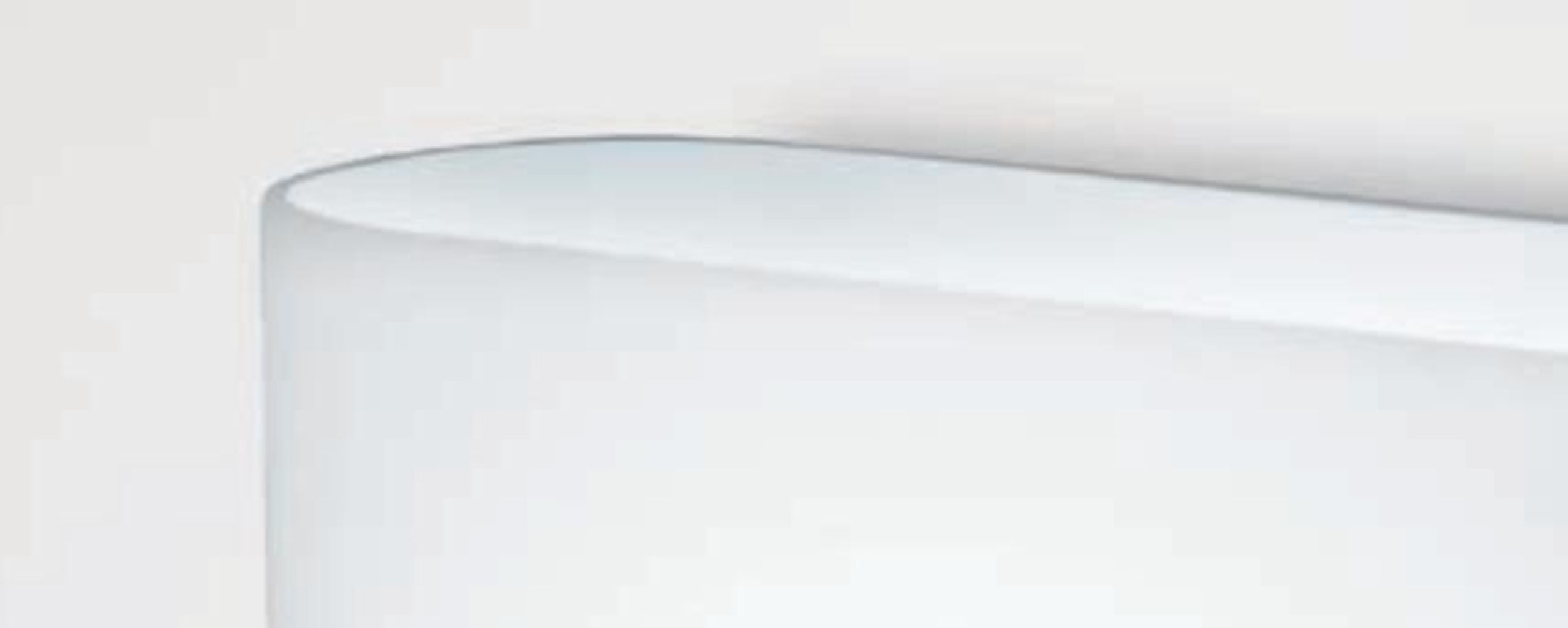 Loop Detail