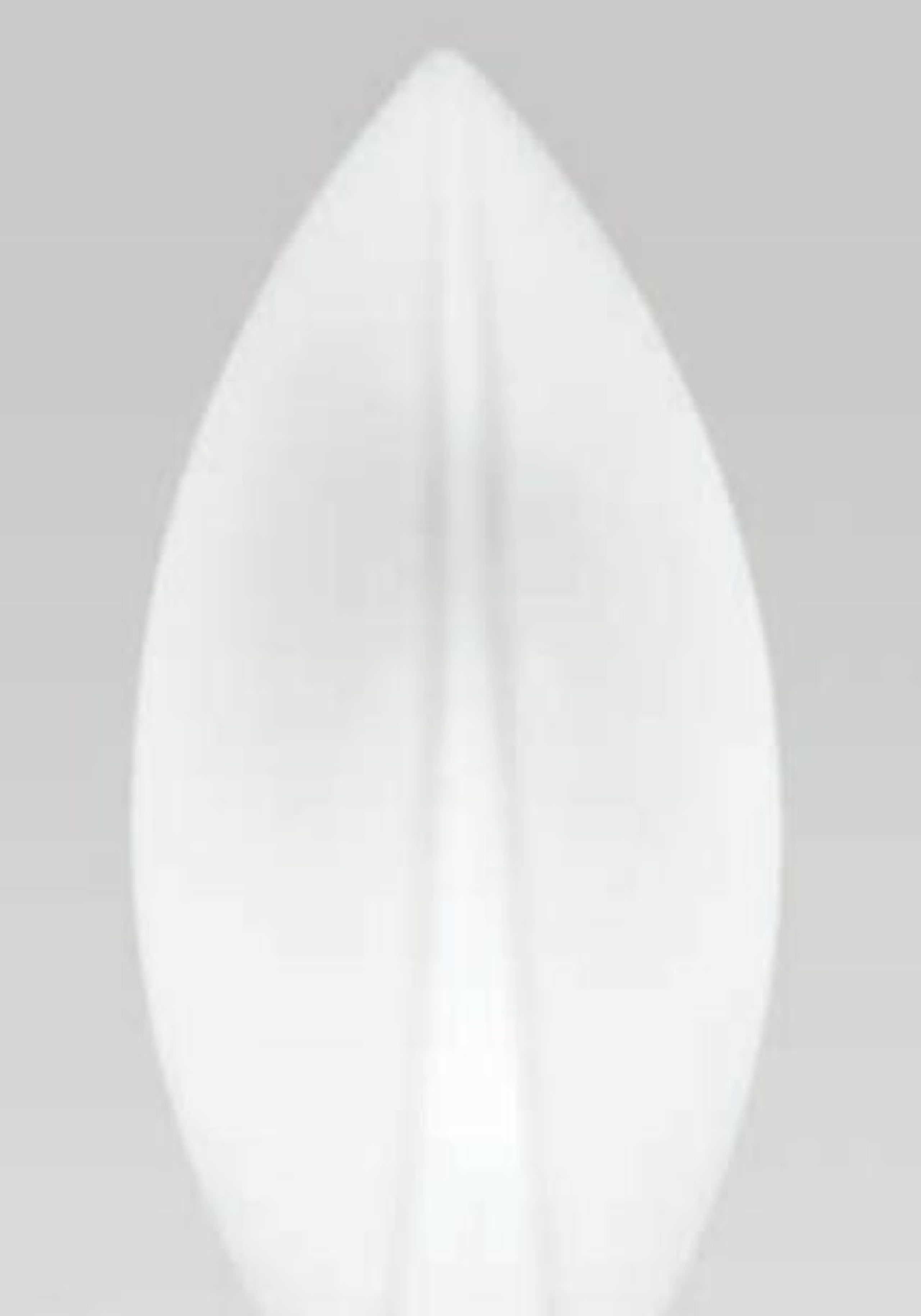 Lotus Produkt 02