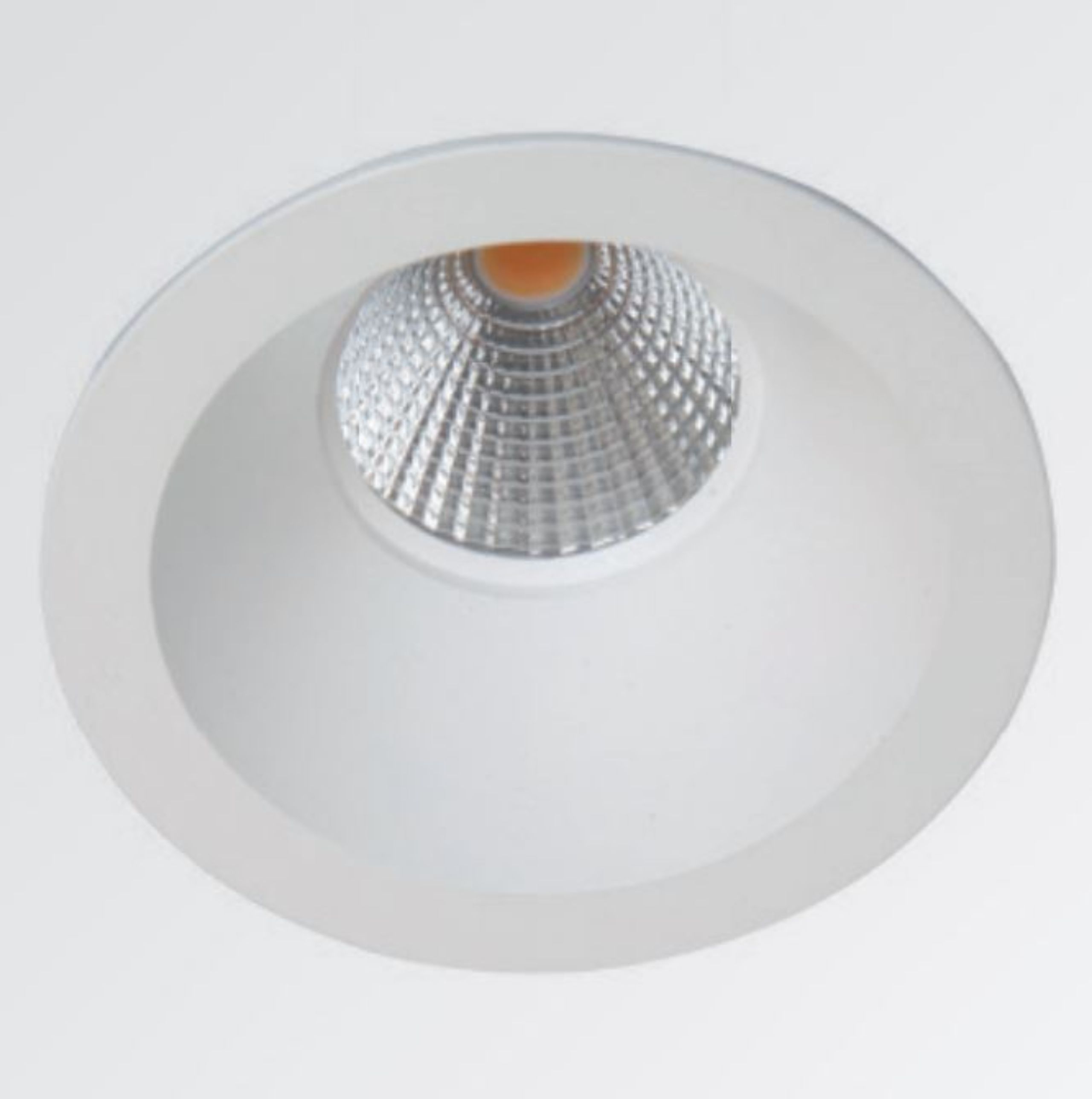 FLEX-LED-D-e1581954954202