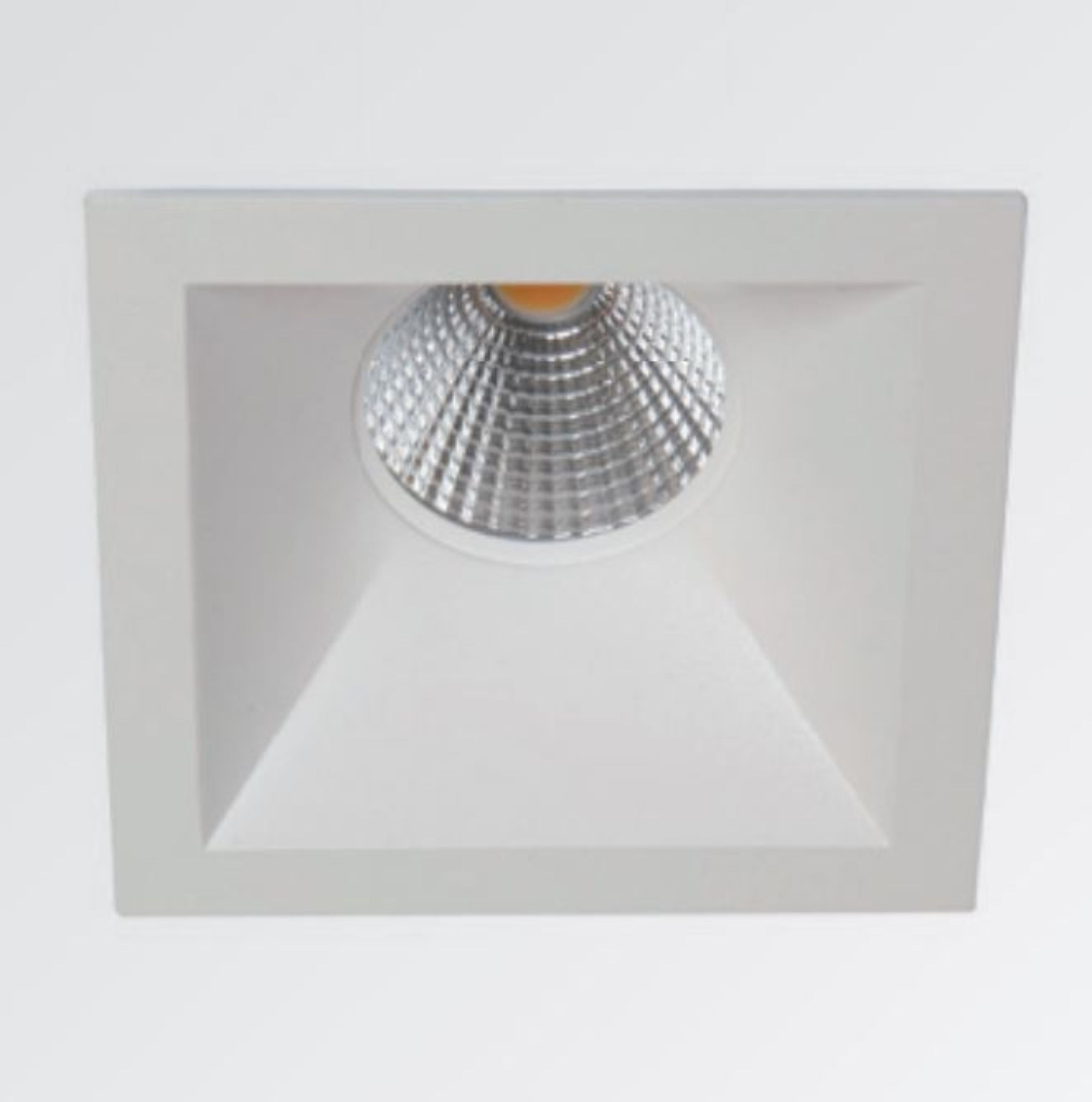 FLEX-LED-D-e1581954954202