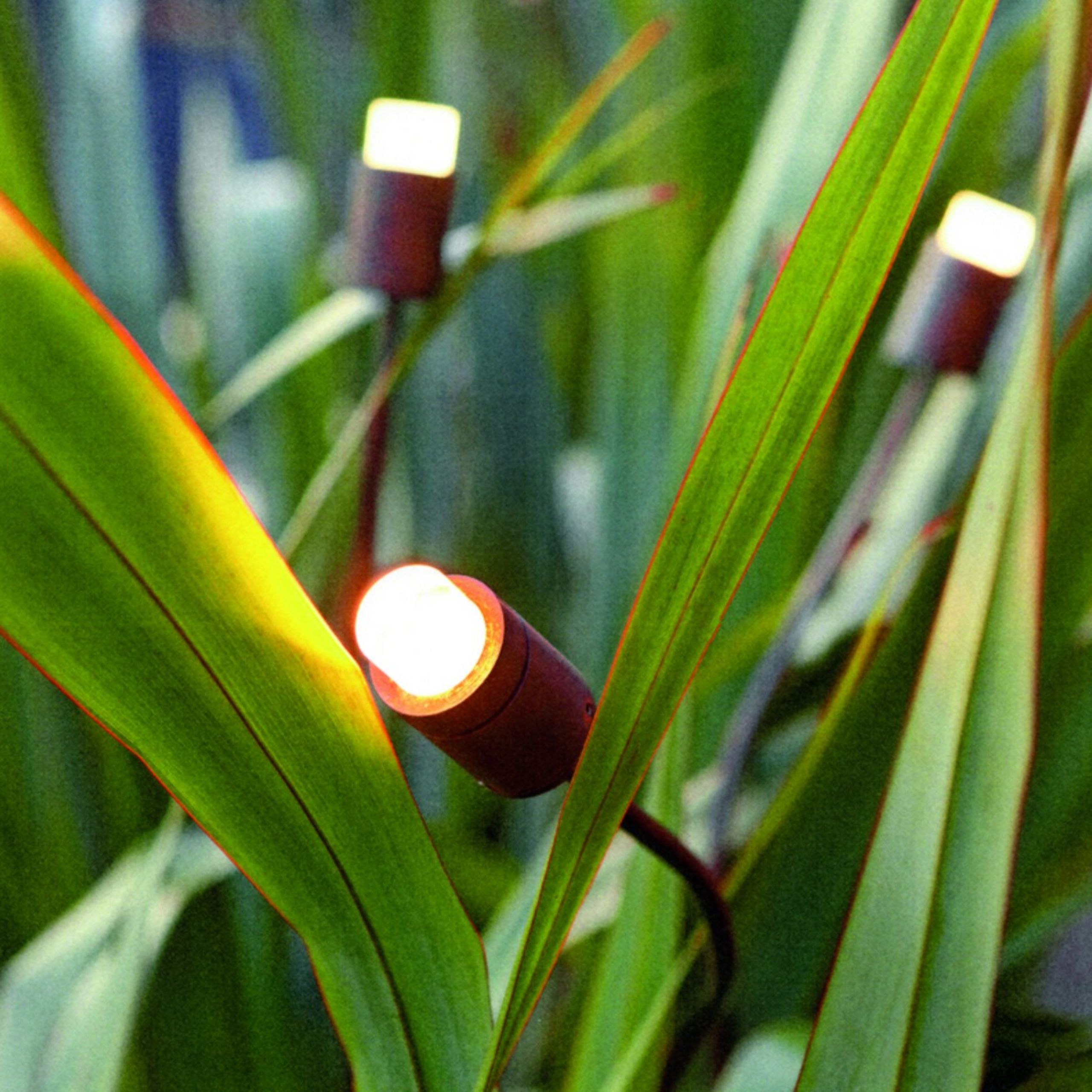 Produkt5